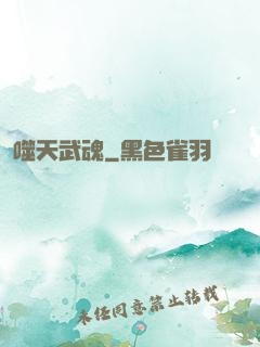噬天武魂