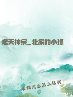 噬天神宗