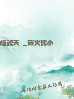 噬魂天書