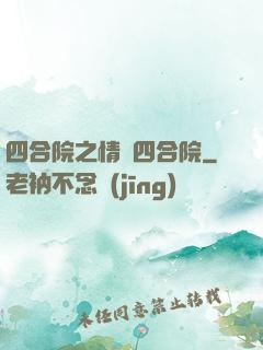 四合院之情滿四合院