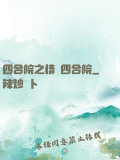 四合院之情滿四合院