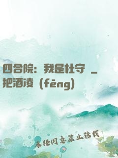 四合院：我是杜守義