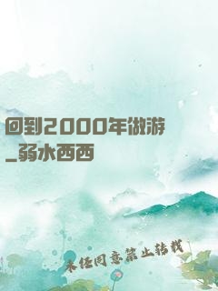 回到2000年做游戲