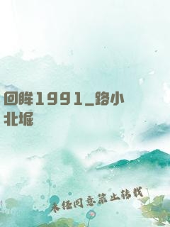 回眸1991