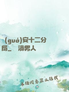 國(guó)安十二分局