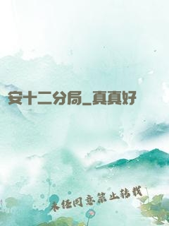 國安十二分局