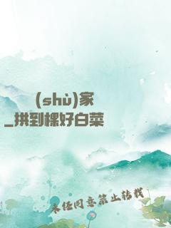 國風藝術(shù)家