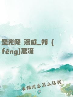 圣光降臨漫威