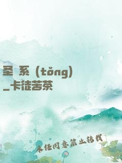 圣劍系統(tǒng)