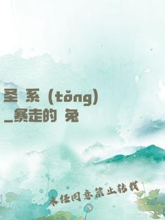 圣劍系統(tǒng)