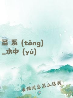 圣劍系統(tǒng)