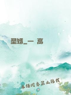圣婿