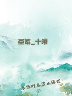 圣婿