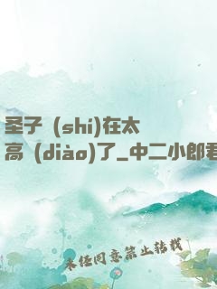 圣子實(shí)在太高調(diào)了