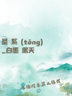 圣師系統(tǒng)