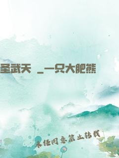 圣武天驕