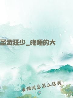 圣武狂少