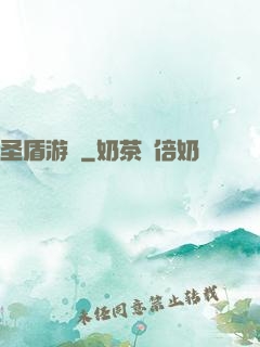 圣盾游戲