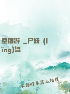 圣盾游戲