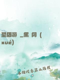 圣盾游戲