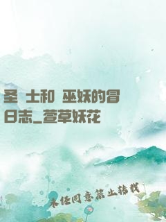 圣騎士和瘋巫妖的冒險日志