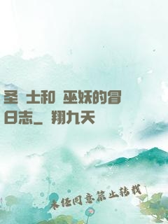 圣騎士和瘋巫妖的冒險日志