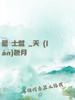 圣騎士盟約