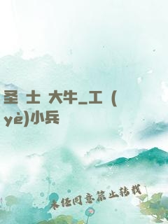 圣騎士趙大牛