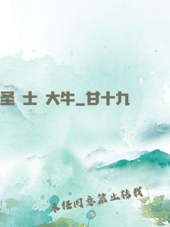 圣騎士趙大牛