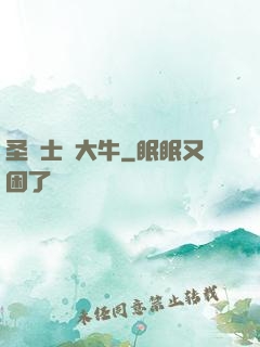 圣騎士趙大牛