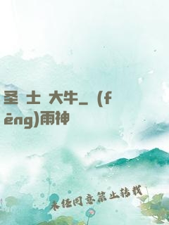 圣騎士趙大牛