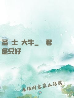 圣騎士趙大牛