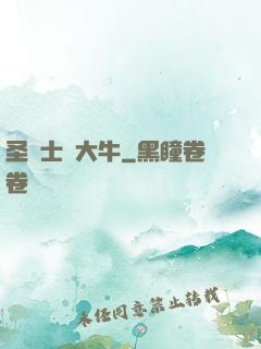 圣騎士趙大牛