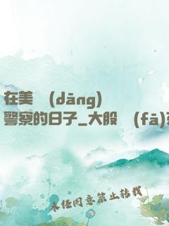 在美國當(dāng)警察的日子