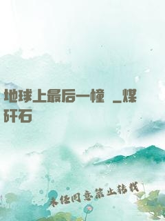 地球上最后一幢樓