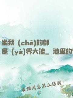 坐我車(chē)的都是業(yè)界大佬