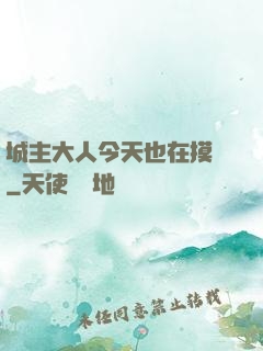 城主大人今天也在摸魚
