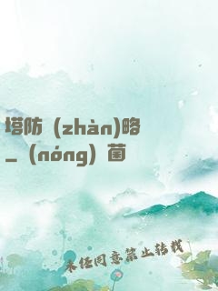 塔防戰(zhàn)略