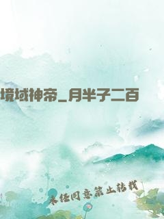 境域神帝