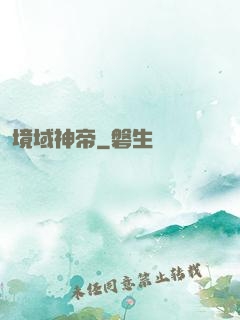 境域神帝