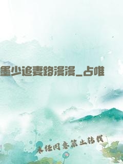墨少追妻路漫漫
