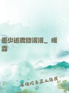 墨少追妻路漫漫