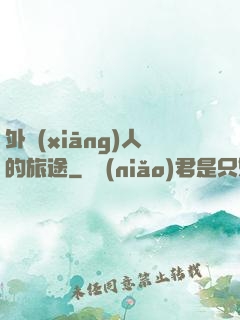 外鄉(xiāng)人的旅途