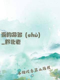 夜的命名術(shù)