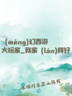 夢(mèng)幻西游大玩家
