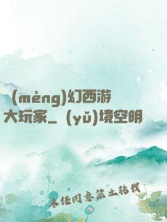 夢(mèng)幻西游大玩家