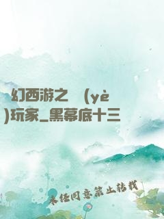 夢幻西游之職業(yè)玩家