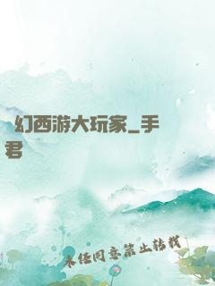 夢幻西游大玩家