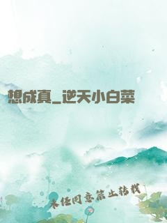 夢想成真