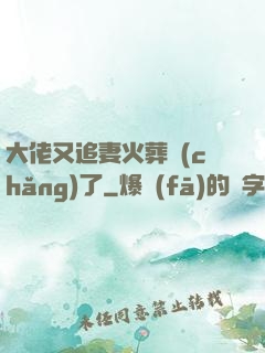 大佬又追妻火葬場(chǎng)了